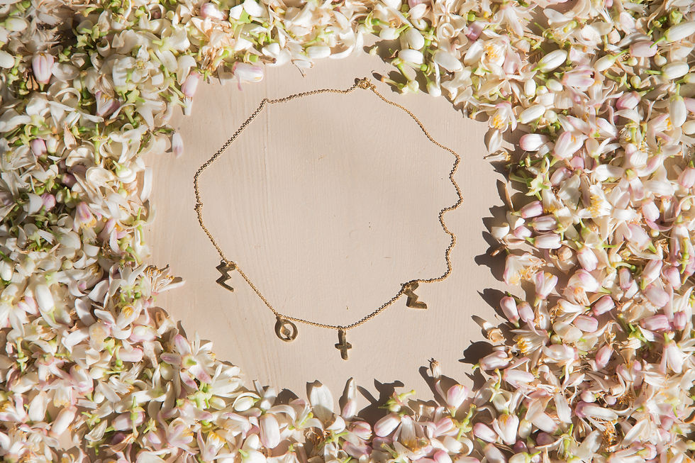 Thumbnail: 'CHOICE' CHARM NECKLACE