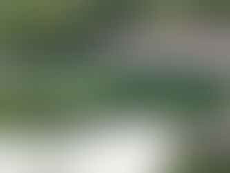 The Open Championship – 5 Storylines to Follow