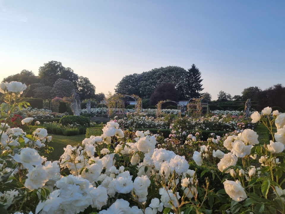 The Walled Garden at Dusk