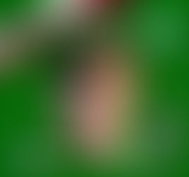 ⚽ AVEZZANO CALCIO 1919