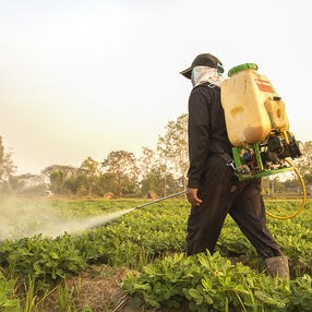 Morgan Legal Group Is Helping Farmers with Parkinson's Disease After Using Paraquat