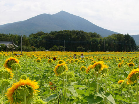 筑波山