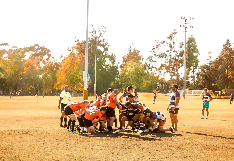 1058468943-IMG-20231212-WA0013.jpg