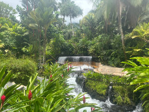 Tabacón Thermal hot springs