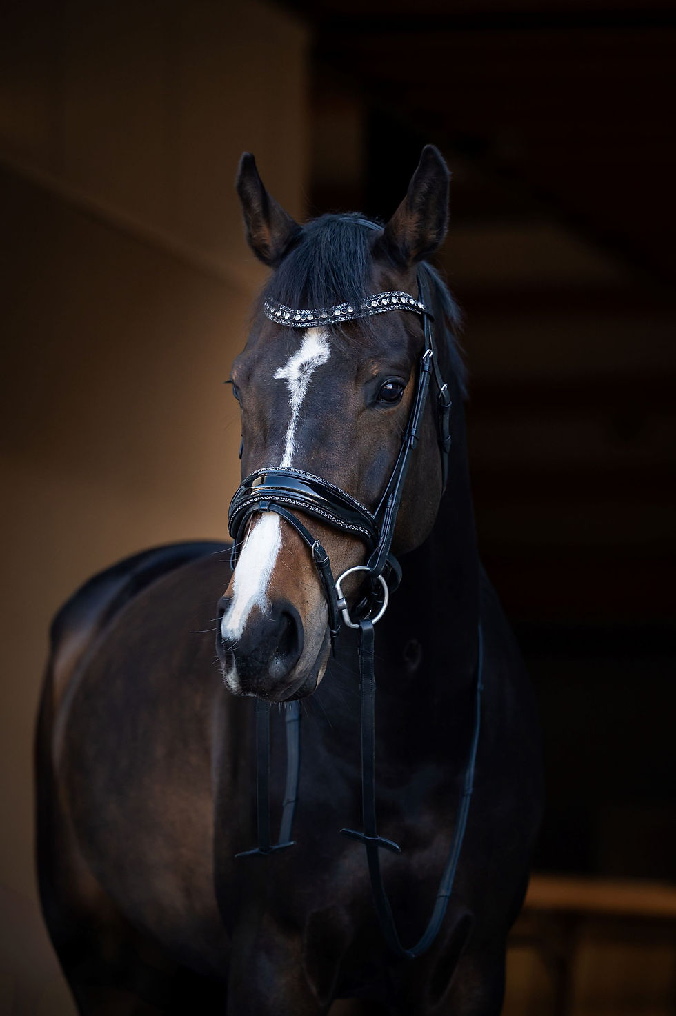 Zwart HB Showtime It is So Special hoofdstel met rocky glitters en Swarovski stenen – inclusief leren teugels zwart/zwart