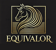 EquiValor startpagina met logo, webshoplink en knoppen naar Instagram, Facebook en ruitersporttips