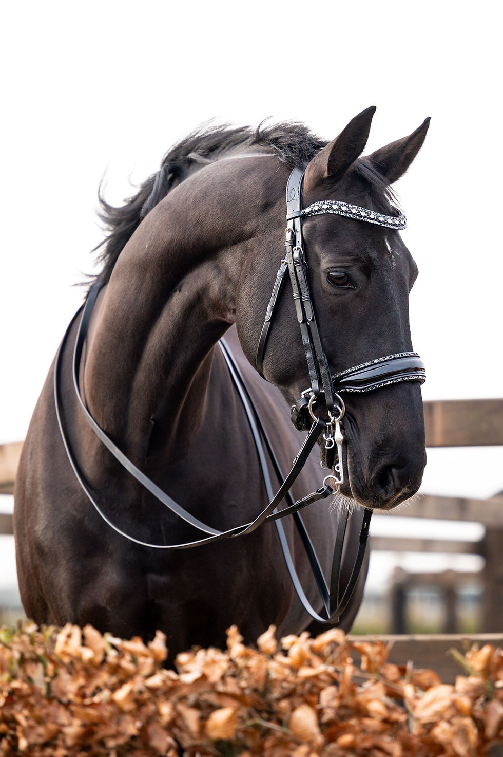 Thumbnail: Zwart HB Showtime One in a Million stang en trens hoofdstel met rocky glitters en Swarovski – inclusief 2 leren teugels zwart