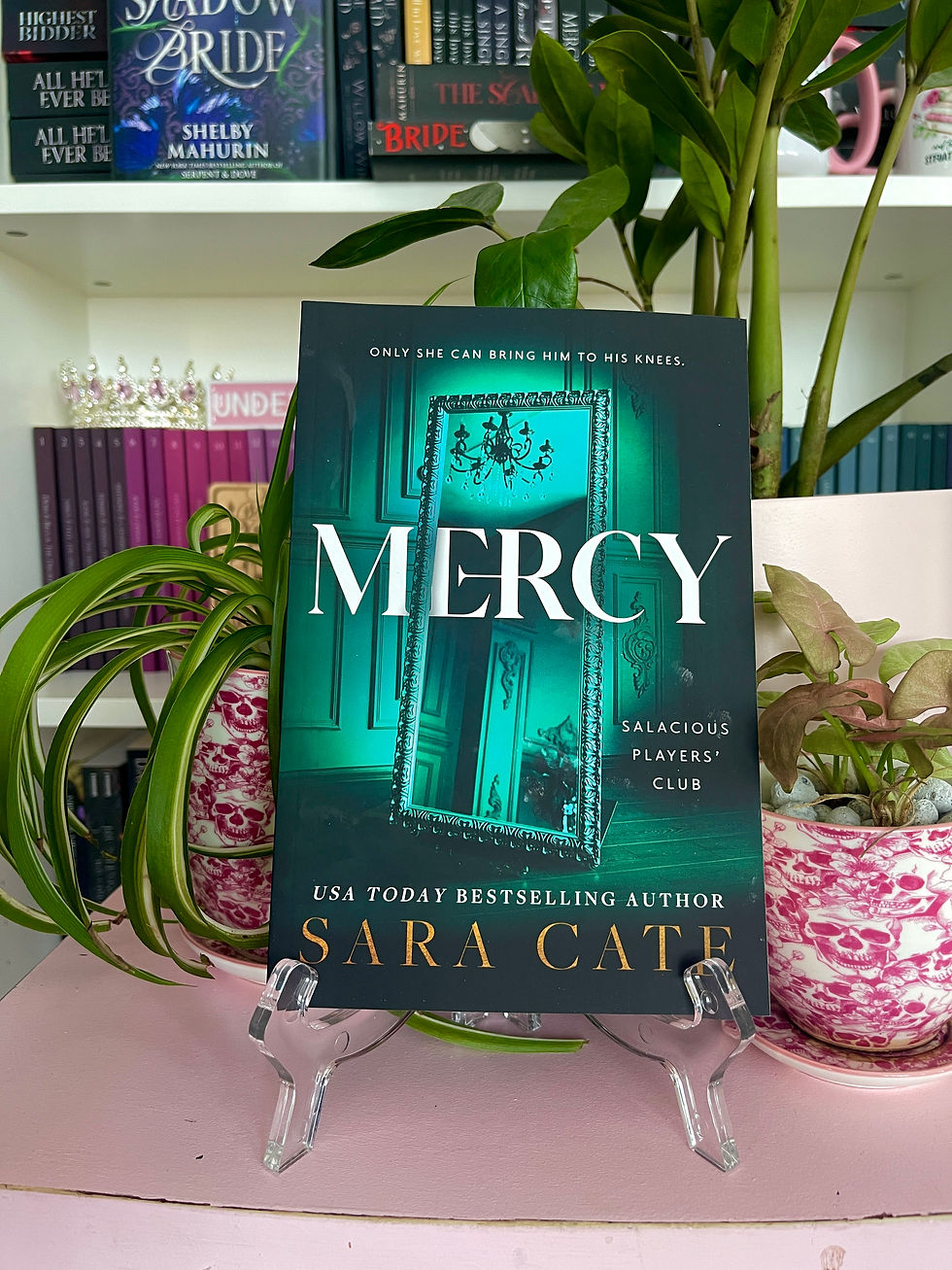 Mercy by Sara Cate