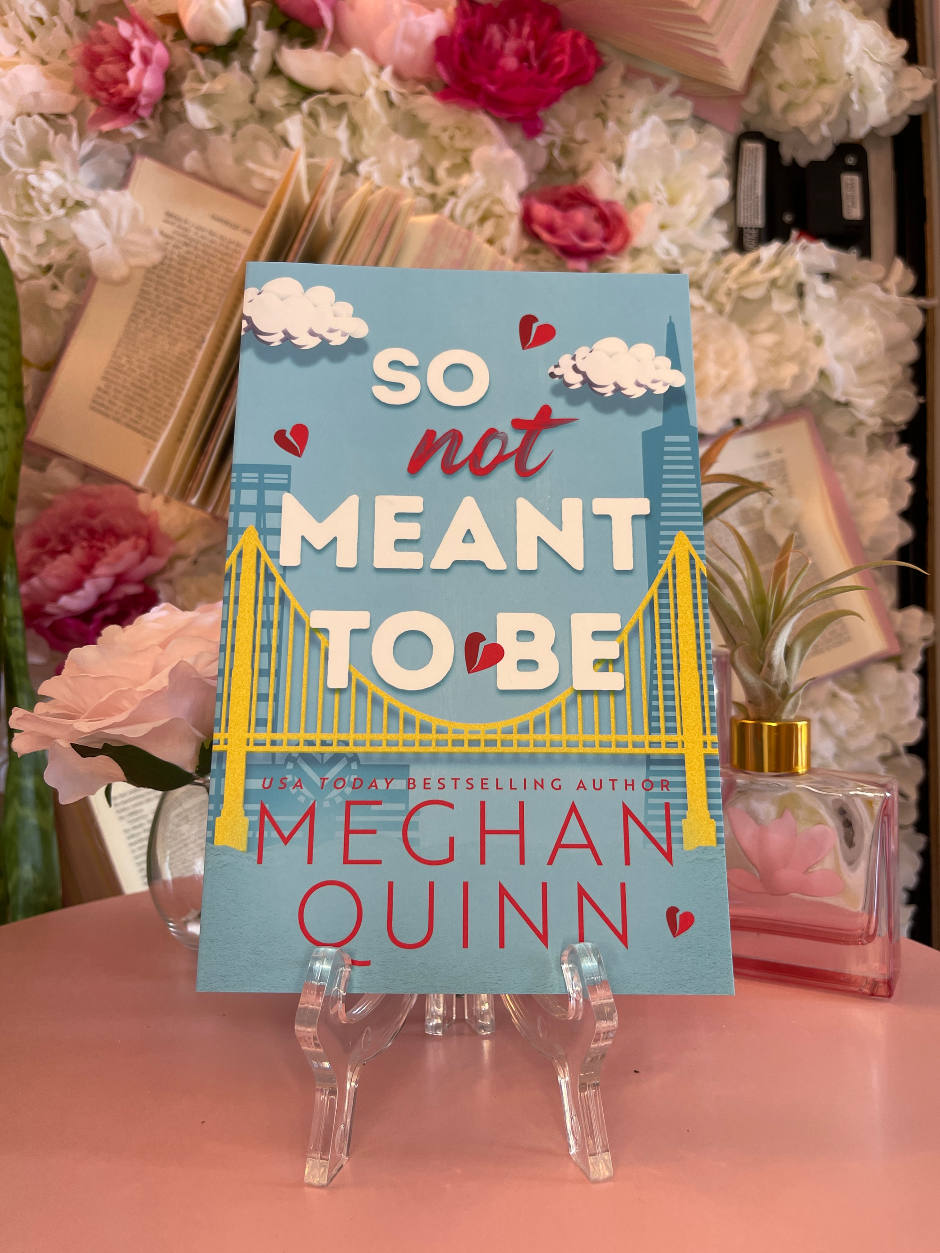 So Not Meant To Be by Meghan Quinn