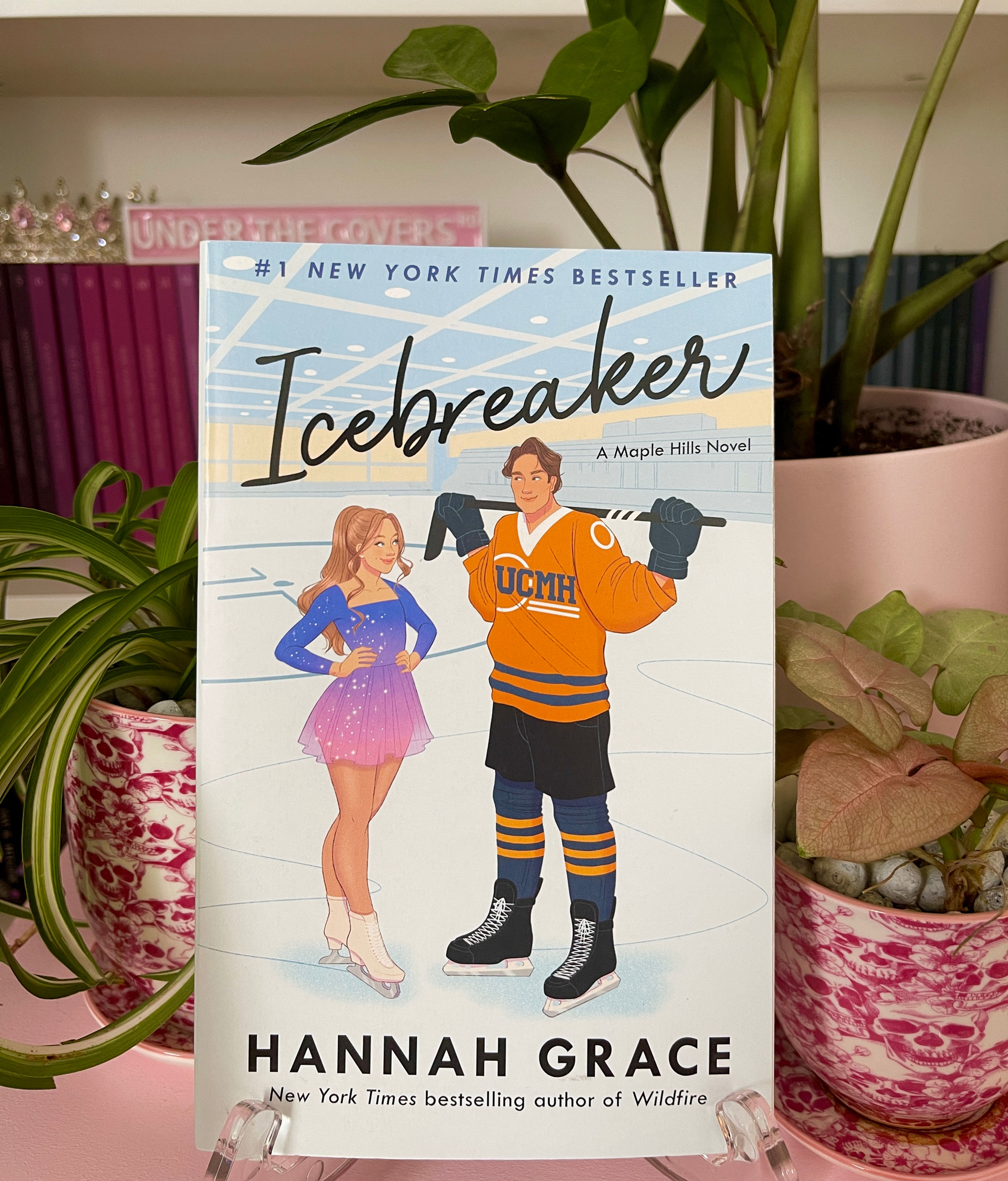 Icebreaker by Hannah Grace