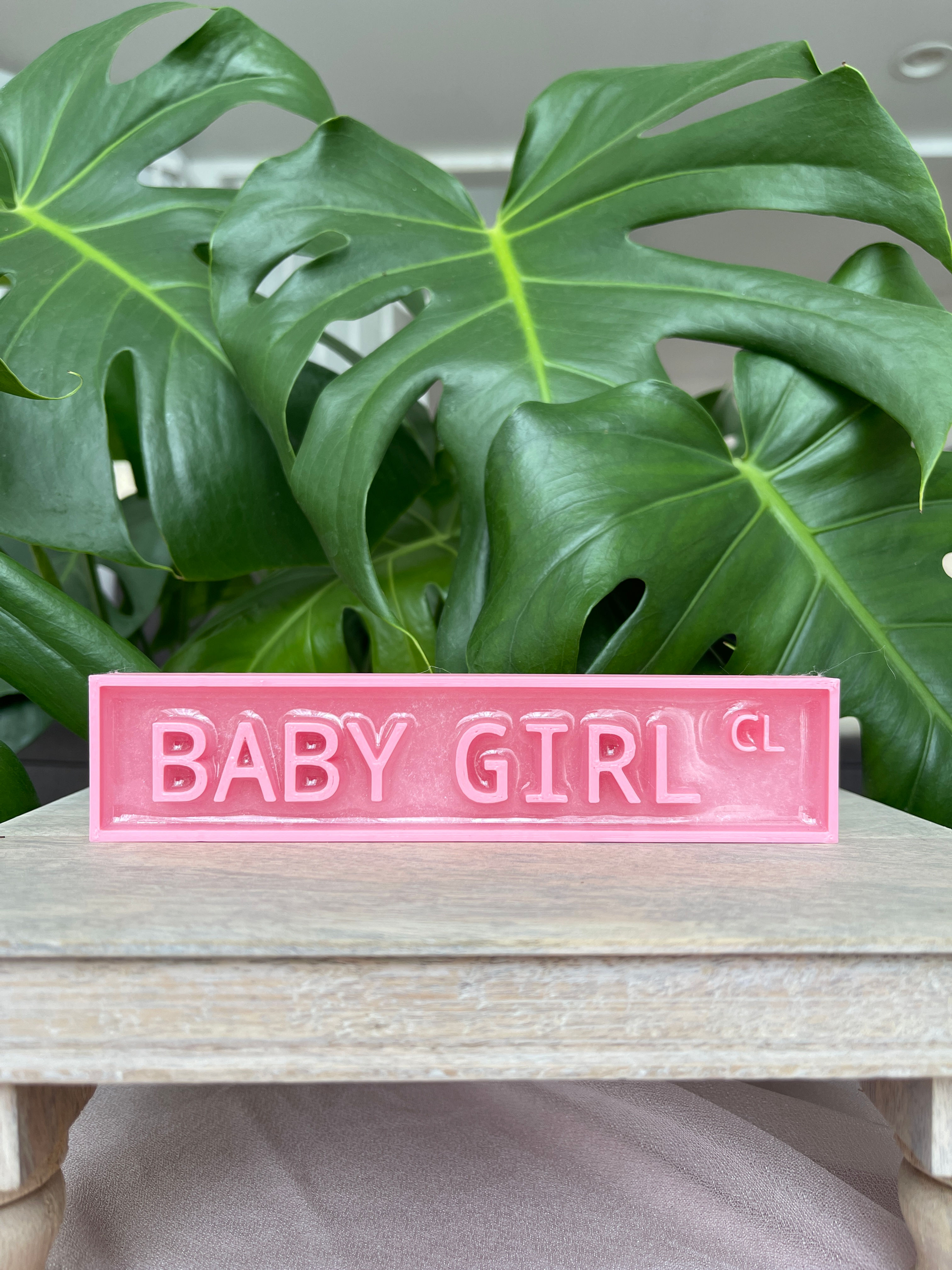 Baby Girl Shelf Sitter