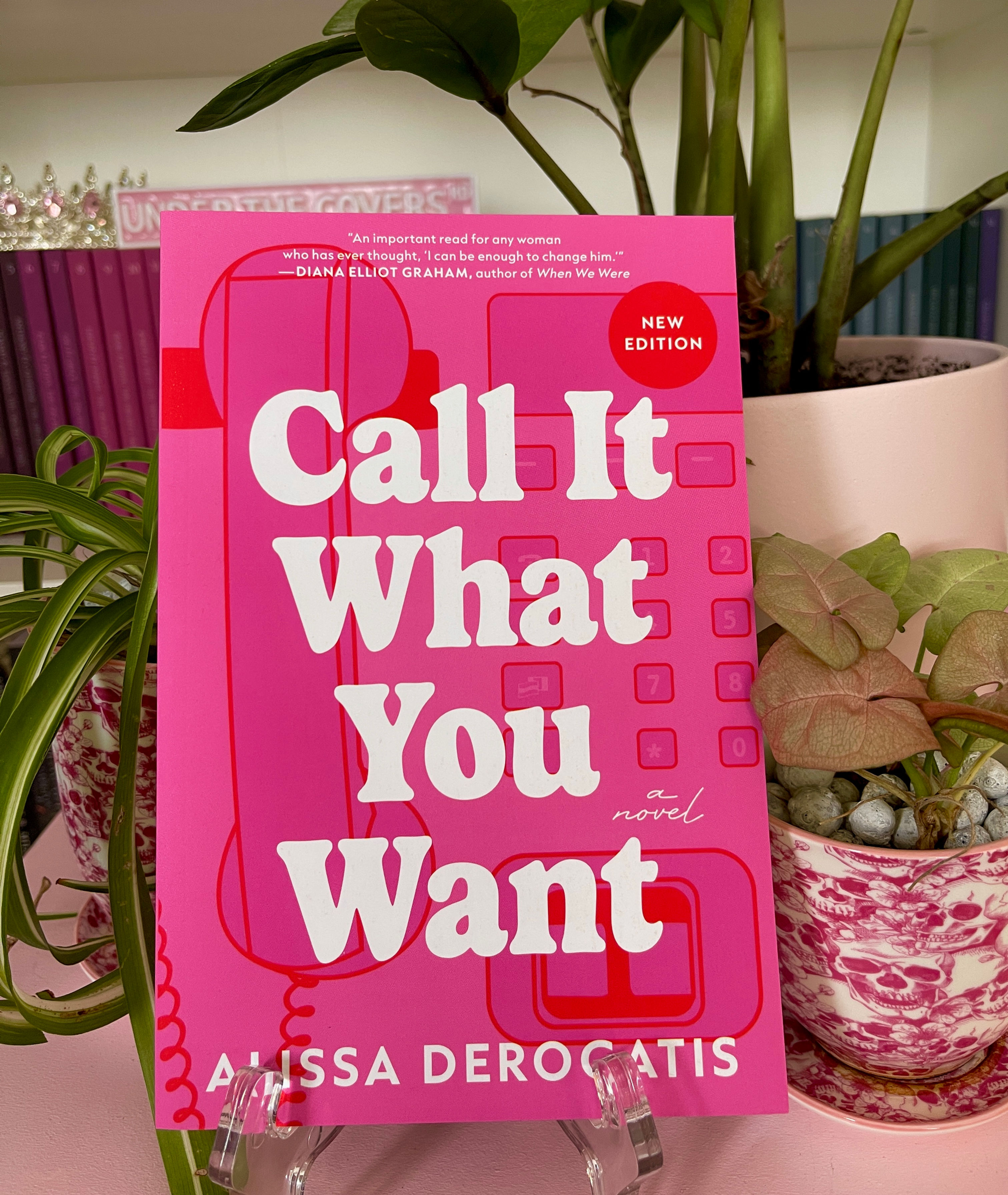 Call It What You Want by Alissa Derogatis
