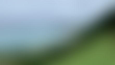 沖縄に帰省してきました♪