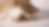 DSC04752_edited.png