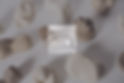 homepage.jpg