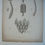 Thumbnail: >SOLD > STAMON , ANTIQUE BOTANICAL ENGRAVING #7