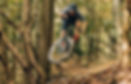 Erwin-Mtn-Bike-Park-42-700x451.jpg