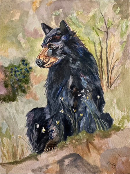 Bear