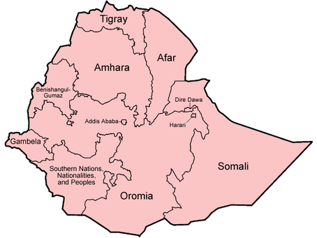 The Gamification of Ethnicity in Ethiopia