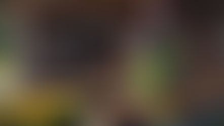 Summer CSAs: The Real Farm-to-Table Experience