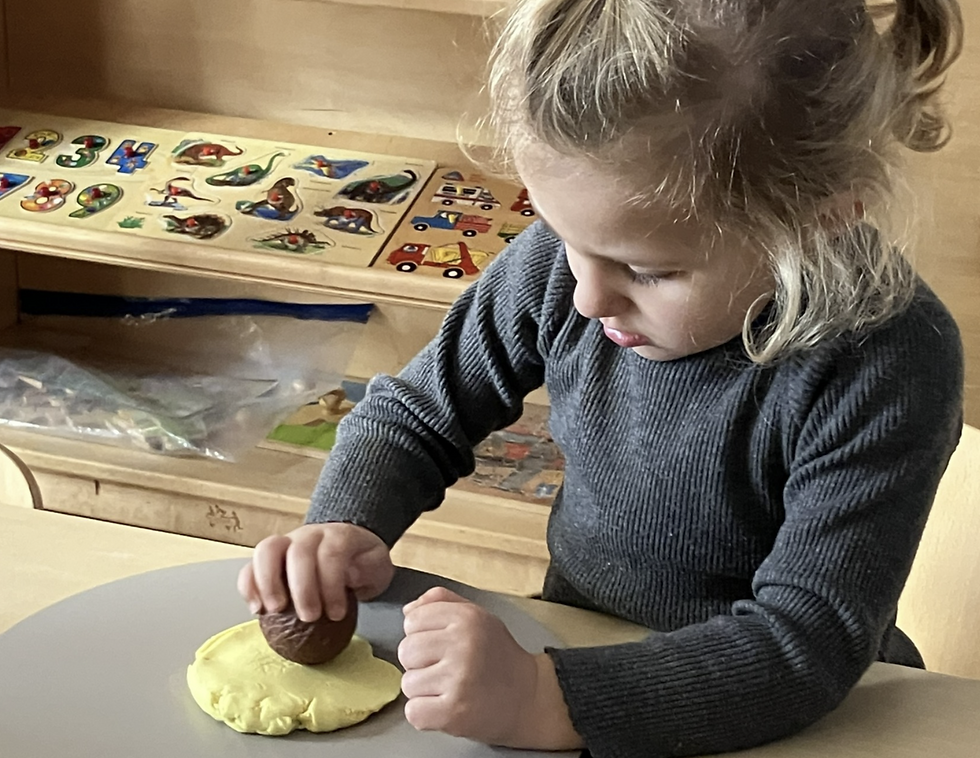 縮圖：Roll Around 野生動物 |  Yellow Door