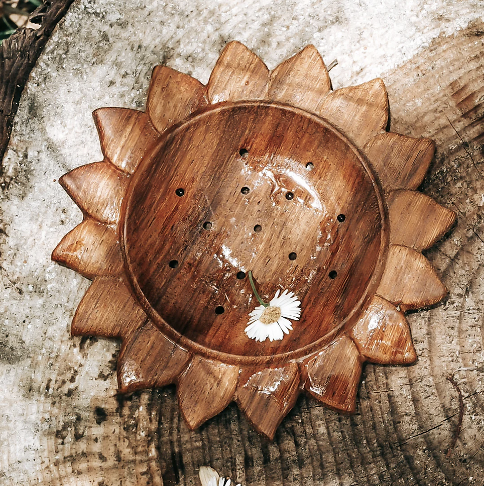 縮圖：澳洲 |  小雛菊與太陽花  木製五感工具