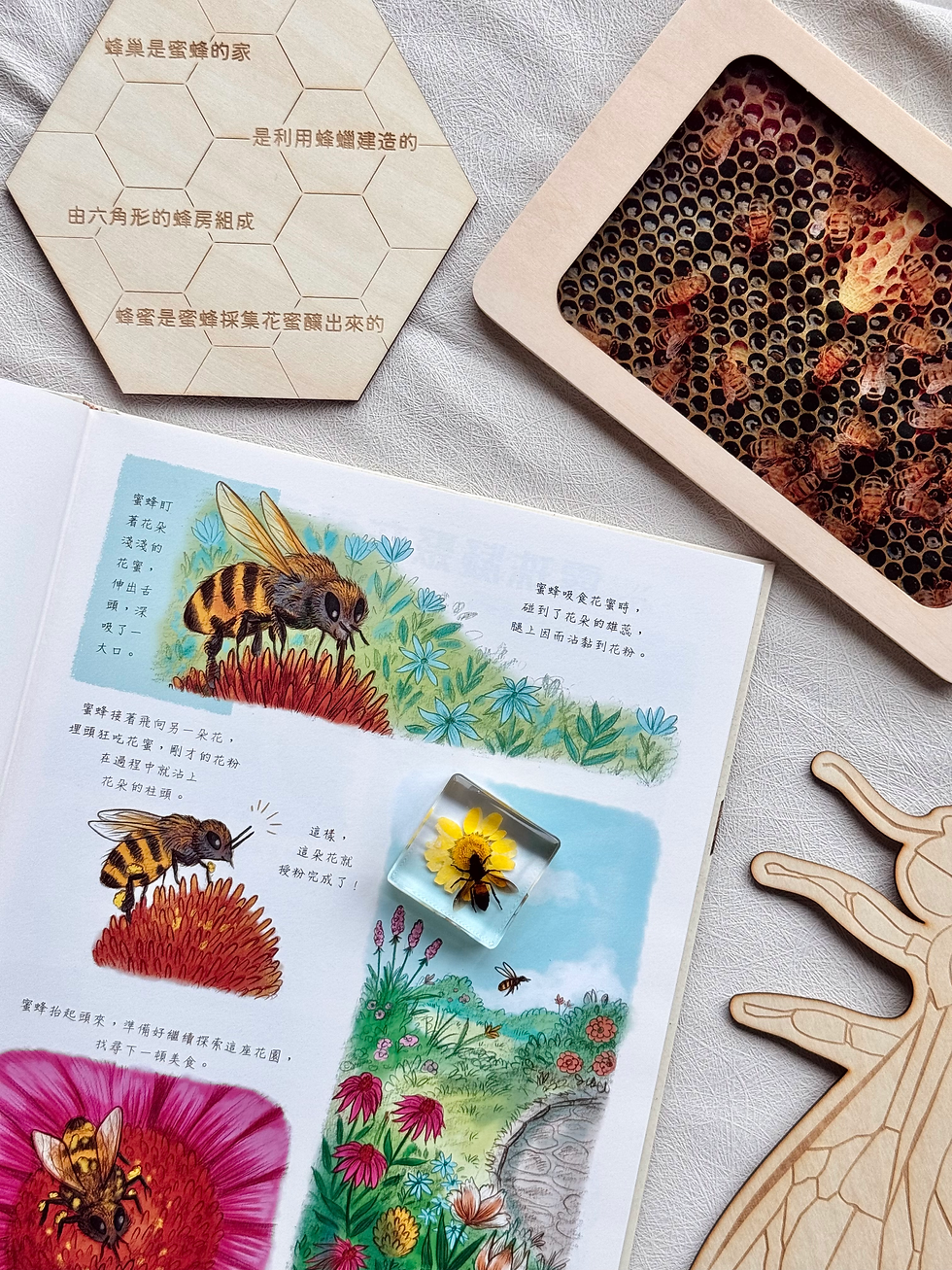 慢下來看世界:給孩子50個有趣的自然之旅