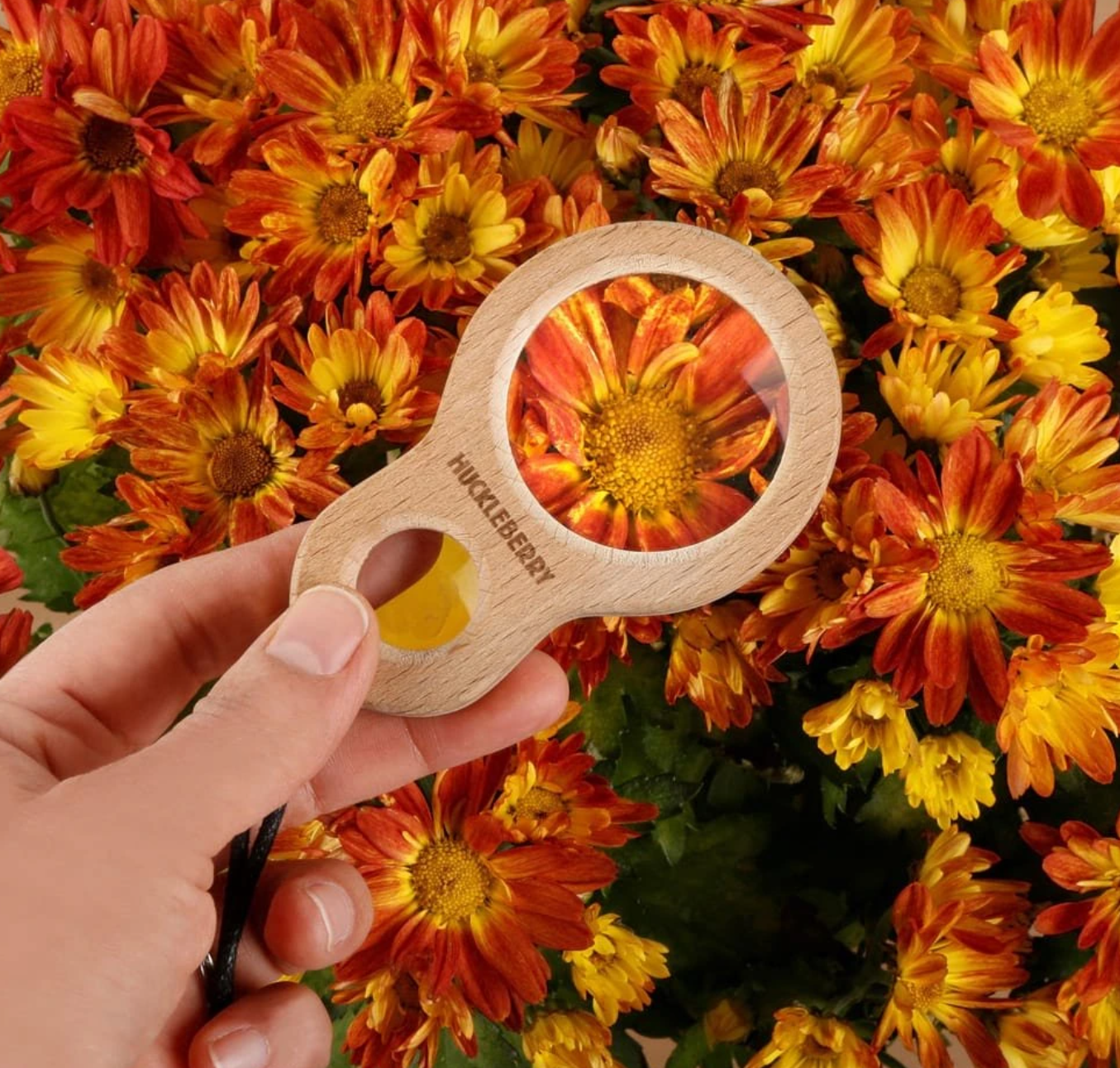 美國曼哈頓設計品牌 |  HUCKLEBERRY 2種倍數放大鏡