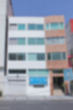 Residencial Mancera