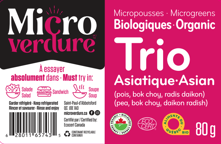 Trio Asiatique