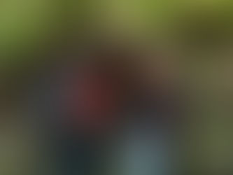 2020: The Year of the Pivot - WTF Elementary