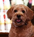 2L4A0225r.jpg