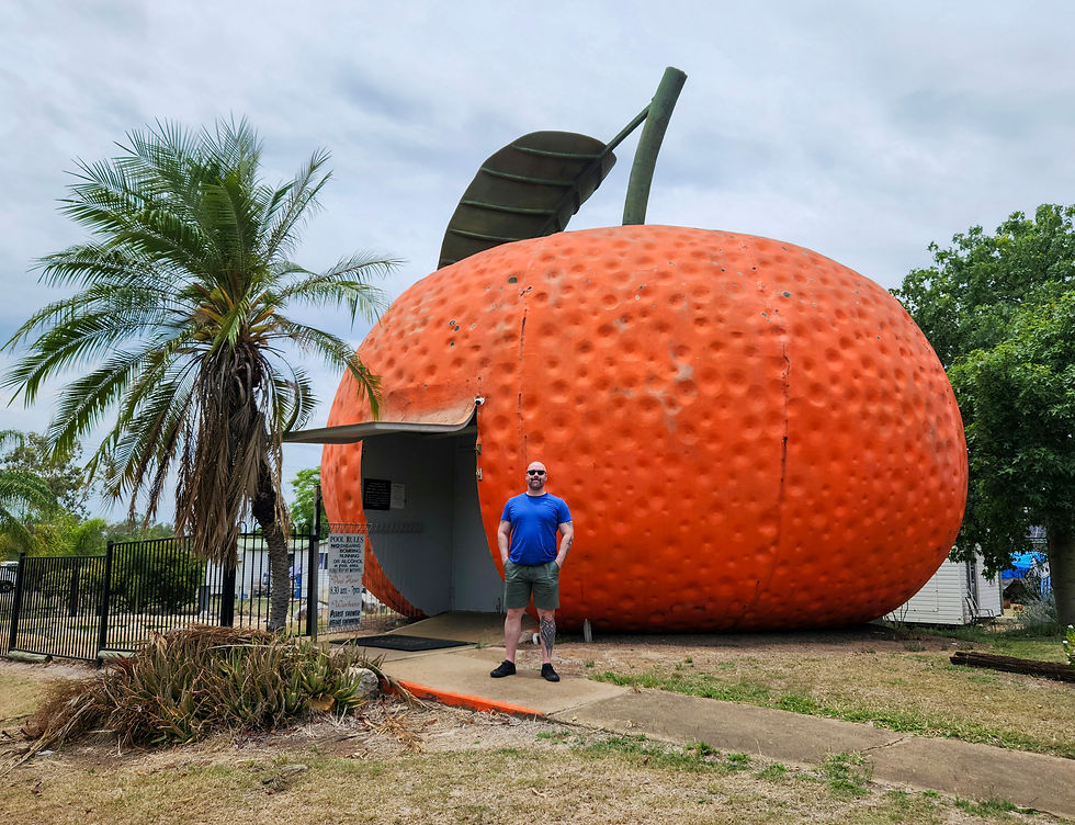Big Mandarin (Mundubbera)
