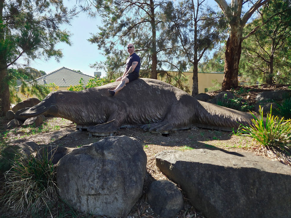 Big Platypus (Canberra)