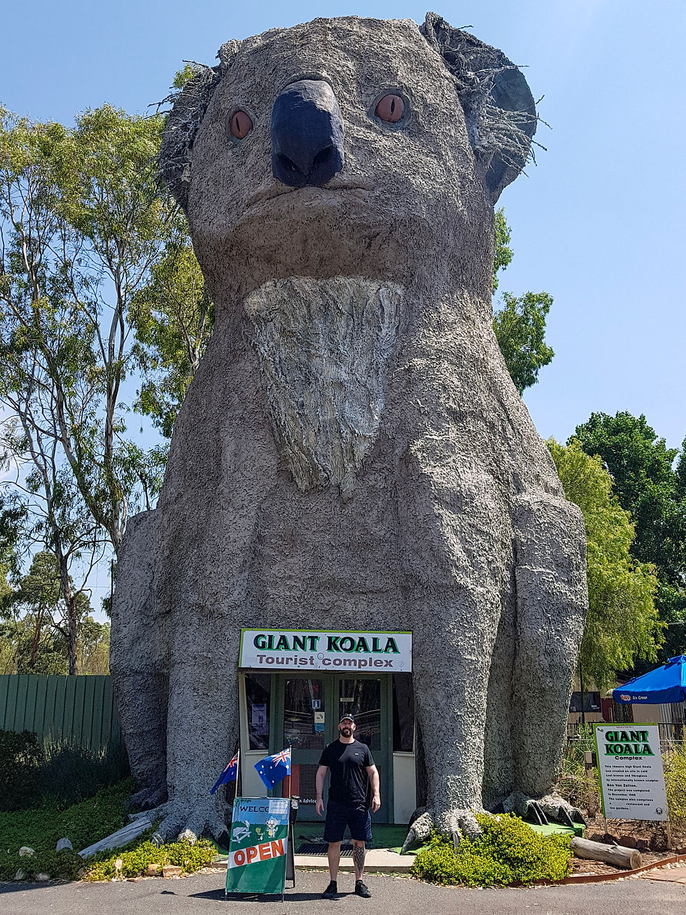 Big Koala (Dadswell Bridge)