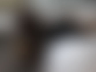 The Ultimate Checklist for Bringing Home a Shih Tzu Puppy