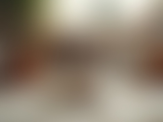 How to Spot a Reputable Shih Tzu Breeder in BC