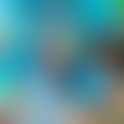 Danseuses brésiliennes de la cie Show Brazil de l'association Swing loisirs Animations, au carnaval de l'Escarène