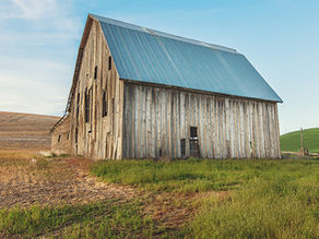 LiKEN publishes report about heirs’ property in Kentucky, Georgia, and Alabama