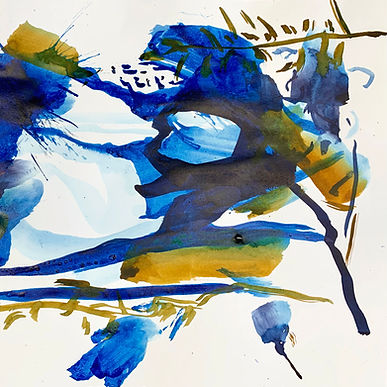 Blaue TulpeII.jpg