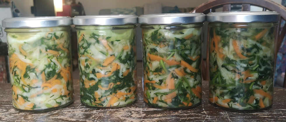 Four prototype jars of carrot top sauerkraut