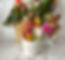 Mini Cups 12+