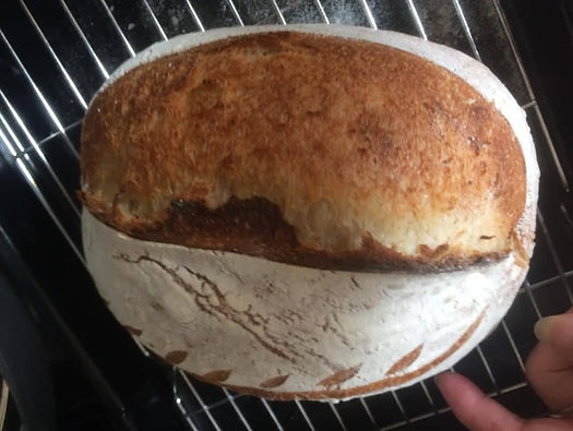 Sourdough loaf loaves bread bake ferment fermentation