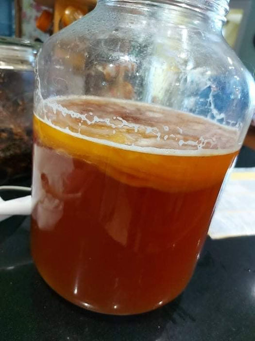 A large jar with a scoby and kombucha inside