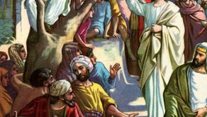 La storia di Zaccheo #3 - CRITICARE