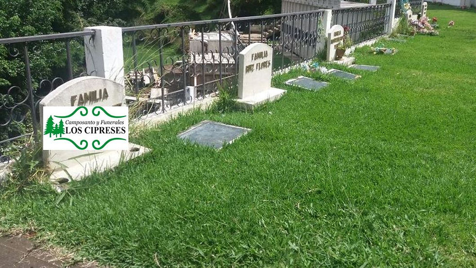 Cementerio Los Cipreses