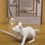 Thumbnail: White Resin Mouse Light