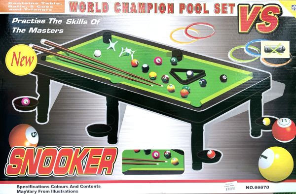 World champion pool set