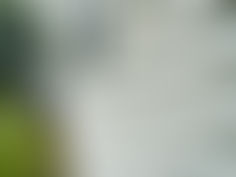 Importance of High-Quality Exterior Cleaning