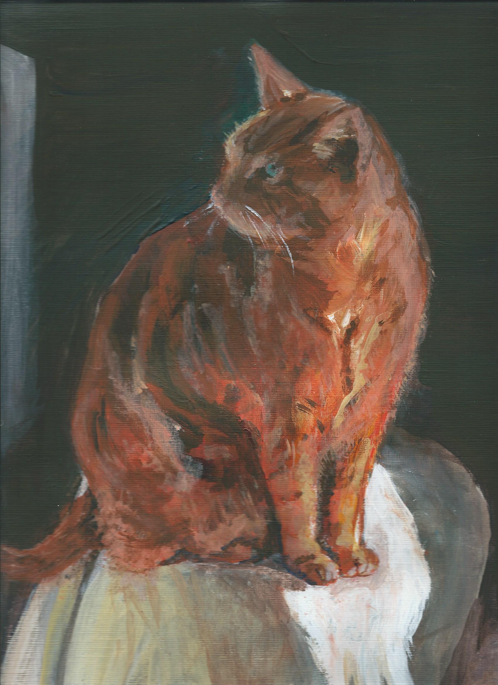 Monty by Audrey Bowling